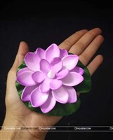 Lotus Shaped Water sensor Lights