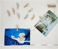 Flamingo Wooden Clip