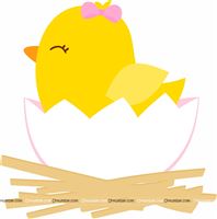 Yellow duck hatchling