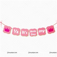 Half Birthday Pink Serial Lights Kit