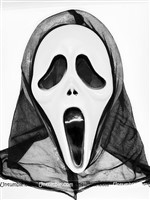 Halloween Theme Scary Masks, Set of 4