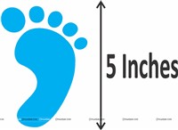 Janmashtmi Decor Pack