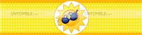 Cool Sunshine bottlewrappers