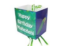 Peacock Birthday theme Pinata