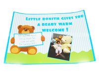 Teddy Theme Birthday Posters / Cutouts