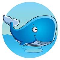 Blue whale