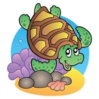 Turtle
