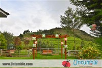 Ambika : Nice and hassle free decoration