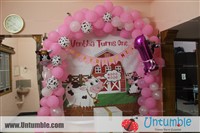 Nandhini Gopinath : They customised the theme which I asked for in a very patient manner..for my daughters first birthday its absolutely amazing... Met my expectations... Thank u design team... Will be a regular customer...