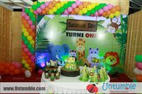 Kirthika Chandran : Thanq so much for the jungle themed props for my son birthday...