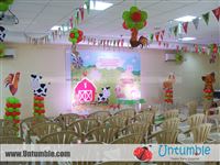 Baby Barnyard - photo 8