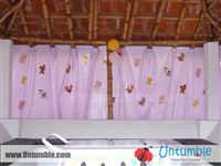 Baby Barnyard - photo 5