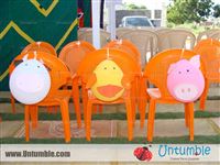 Baby Barnyard - photo 6