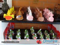 Baby Barnyard - photo 8