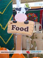 Baby Barnyard - photo 11