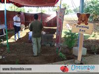 Baby Barnyard - photo 12