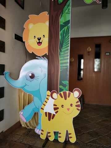 Baby Jungle Birthday - Krishna Sweets Twins - March 2019 - photo 5