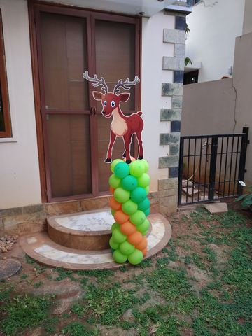 Baby Jungle Birthday - Krishna Sweets Twins - March 2019 - photo 13