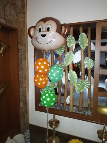 Baby Jungle Birthday - Krishna Sweets Twins - March 2019 - photo 7