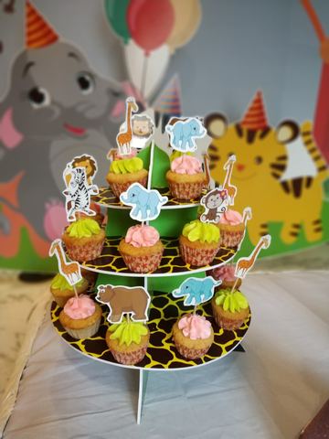 Baby Jungle Birthday - Krishna Sweets Twins - March 2019 - photo 23
