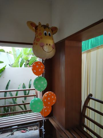 Baby Jungle Birthday - Krishna Sweets Twins - March 2019 - photo 25