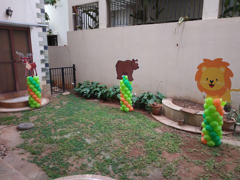 Baby Jungle Birthday - Krishna Sweets Twins - March 2019 - photo 11