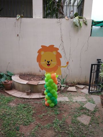Baby Jungle Birthday - Krishna Sweets Twins - March 2019 - photo 10