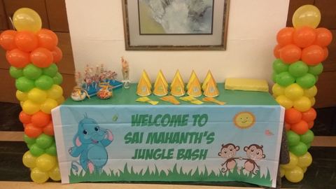 Baby Jungle Birthday - Residency - September 2010 - photo 4