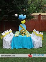 Baby Shower Yellow & blue - photo 1