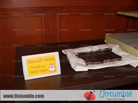 Baby Zoo - photo 14
