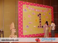 Baby Zoo - photo 15