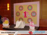 Baby Zoo - photo 16