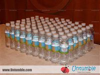 Baby Zoo - photo 21