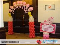 Balloon Decor  - photo 14