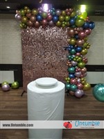 Balloon Decor - photo 25