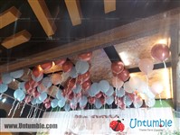 Balloon Decor - photo 35