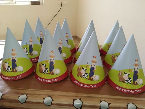 Barnyard birthday - Sowripalaym Aprtment - June 2019 - photo 9