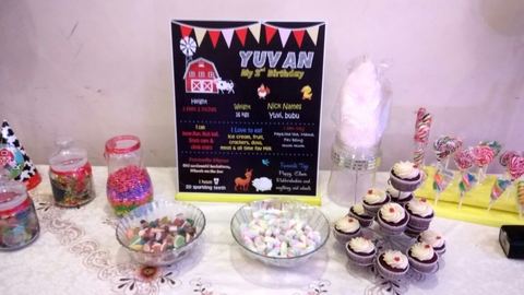 Barnyard birthday - photo 5