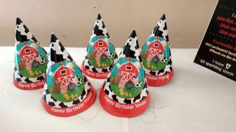 Barnyard birthday - photo 8