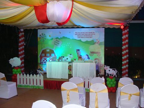 Barnyard birthday - March 2008 - photo 5