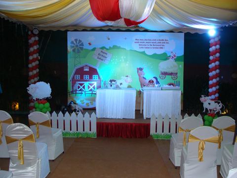 Barnyard birthday - March 2008 - photo 4