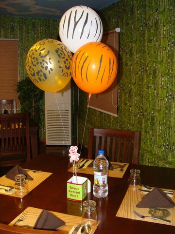 Barnyard birthday - March 2008 - photo 10