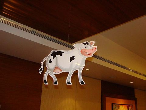 Barnyard birthday - Clarion - November 2013 - photo 14