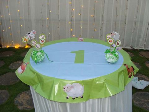 Barnyard birthday - Tirupur - September 2014 - photo 14