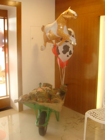 Barnyard birthday - Tirupur - September 2008 - photo 12