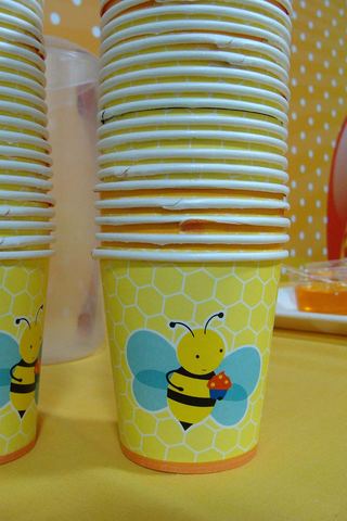 Bumble Bee birthday - Ajay - January 2013 - photo 12