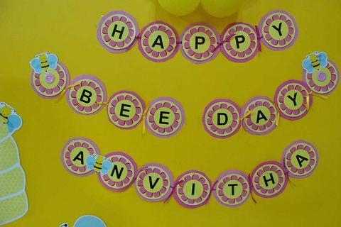 Bumble Bee birthday - Ajay - January 2013 - photo 9
