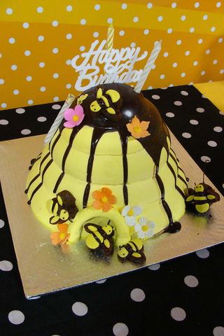Bumble Bee birthday - Ajay - January 2013 - photo 11