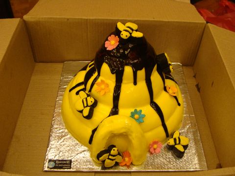 Bumble Bee birthday - Residency - October 2013 - photo 8