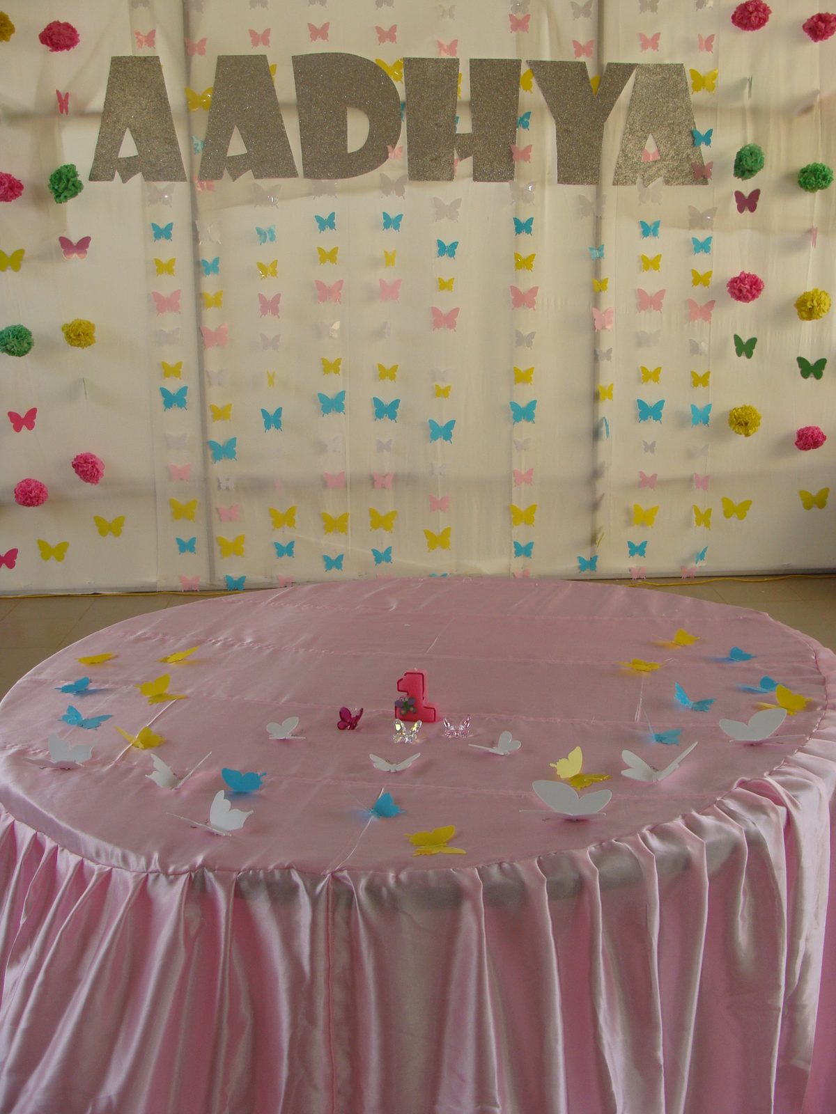 Butterfly Birthday - Theni - December 2008